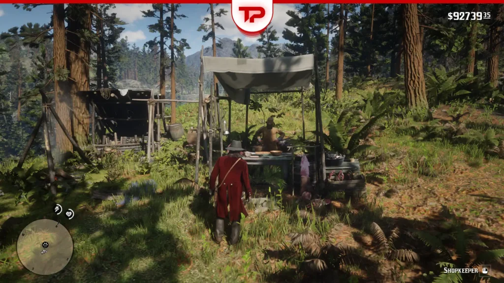 RDR2 Trapper Locations: Plan Smarter Hunting and Shop Stops — source illustration