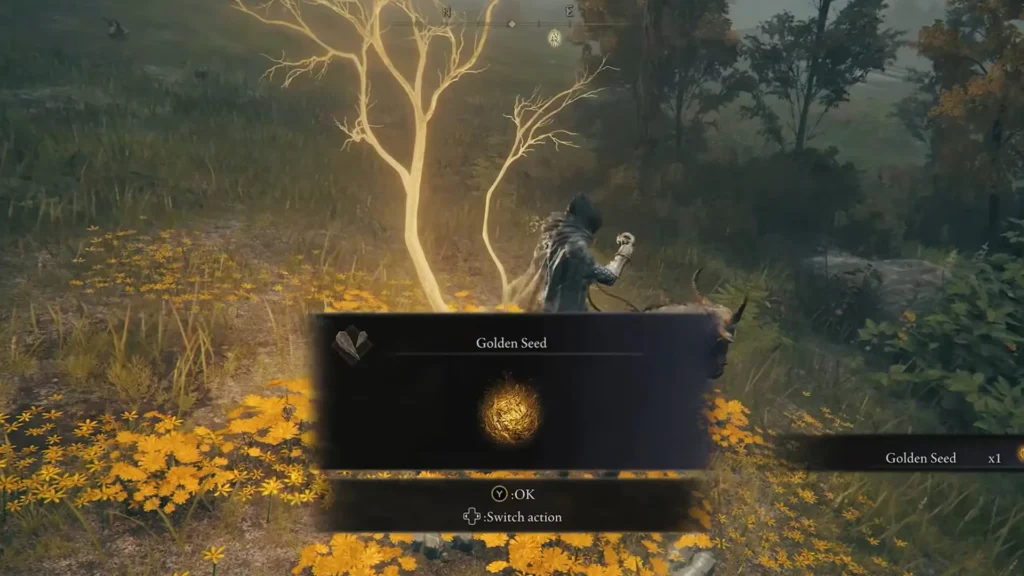 Three Golden Seed Stops Around Limgrave